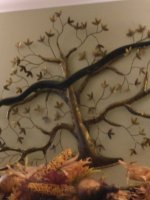 IMG_20171105_210115.jpeg