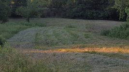 20180603_193234.jpeg