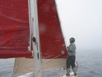 snow sailing.JPG