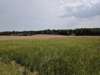 IMG_20180515_111445.jpg