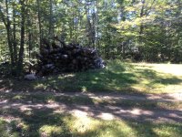 IMG-1114.JPG