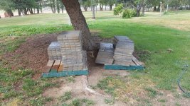 20180728_094558.jpg
