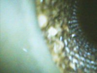 DIGI0012.JPG