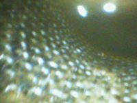 DIGI0011.JPG