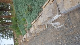 20180728_095314.jpg
