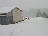 Wintr2003-3.jpg