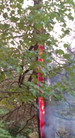 TreeFire1.jpg