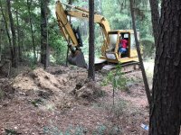 8-19-18 CAT Starting Tree Digging For Kimberly's Driveway.jpg