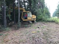 8-19-18 Cat Digging First Bigger Tree For Kimberly's Driveway.jpg