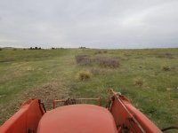 20180509_190632.jpeg