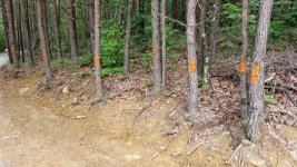 20180706_112337.jpeg