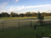 IMG_1992.JPG