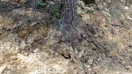 20180703_171703.jpeg