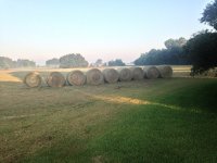 hay 07-27-18 a.jpg