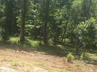 20180620_155442.jpeg