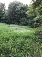 IMG_1915.JPG