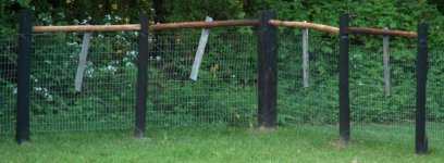 269093-braceposts.jpg