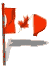 18-118346-anicanada-flgpole.gif
