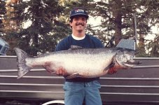 6-46879-kingsalmon.jpg
