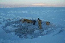 35-223323-Cathightrackthroughtheice.jpg