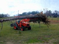 344574-L48-cedar.jpg