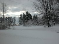 2-223968-Christmassnow.jpg