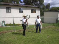 6-47967-horseshoes.jpg
