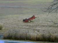 35-174341-NewHollandonit'sback.gif