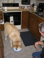 270387-Buddy2.JPG