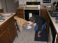 270389-Buddy5.JPG