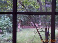 319618-Deer_Sunroom_2.jpg