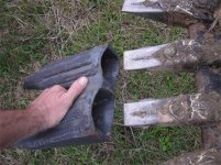 852877-buckteeth3.jpg