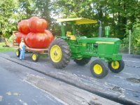 695836-bigtomato1.JPG