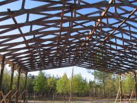 853706-IMG_0428 (Small).JPG