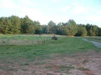 696480- the front yard (Small).jpg