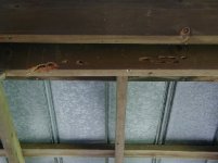 854119-More lean to bugs small.JPG