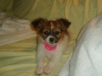 854407-Nikki1.JPG