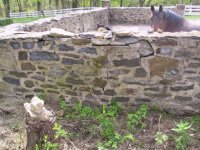 654127-IMG_1720.jpg