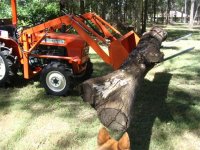 855324-pick up log_7.jpg