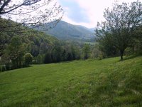 field-from-top.jpg field-from-top.jpg