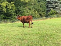 IMG_1539.JPG