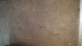 20180920_081151.jpg