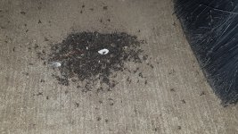 20180920_081648.jpg