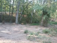 20180922_172751.jpeg
