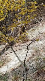 20181030_151406.jpeg