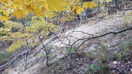20181030_151442.jpeg