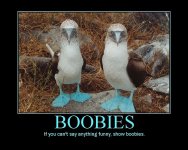 NICE BOOBIES.jpg