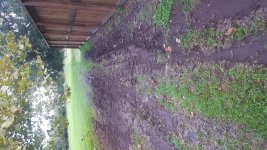 20180920_190431.jpg
