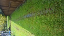20180915_155606.jpg