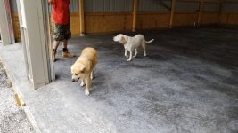 20180825_095737.jpeg